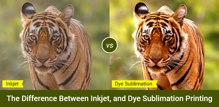 Inkjet, and Dye Sublimation Printing